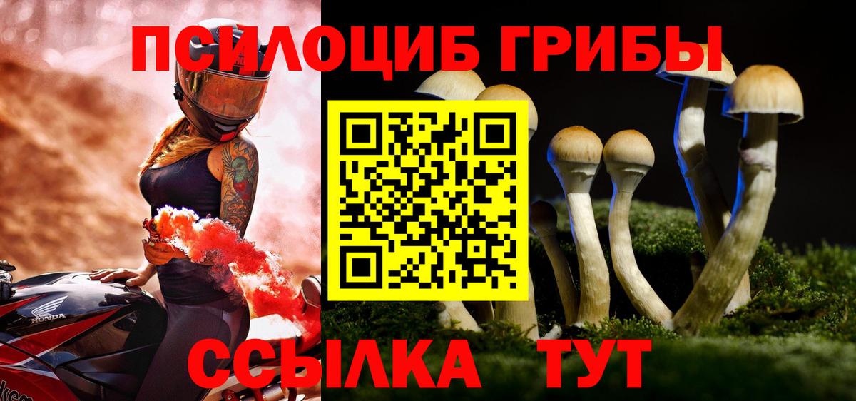 Псилоцибиновые грибы прущие грибы Урай