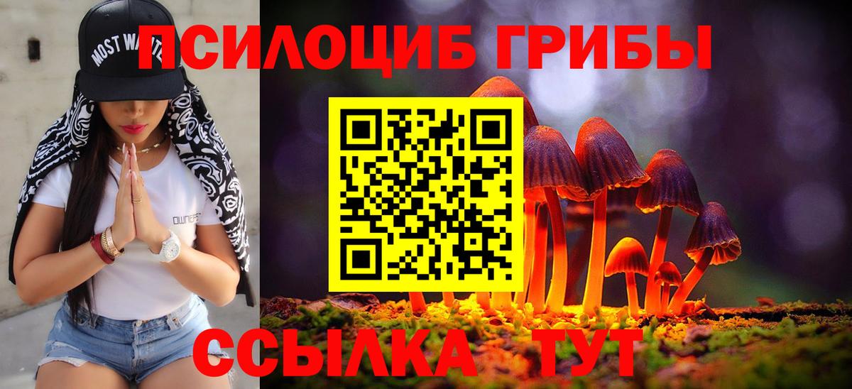Урай  купить  цена  Вход с VPN  Галлюциногенные грибы Cubensis 